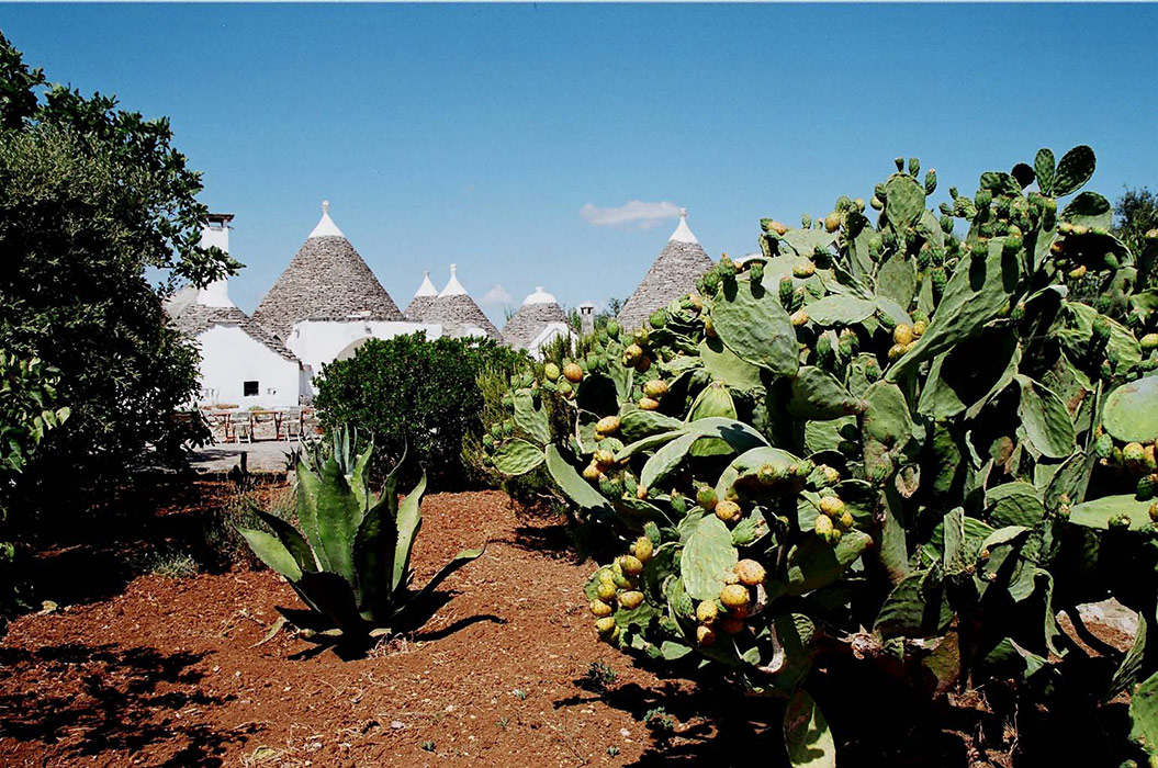 Trulli in Puglia, vista esterna